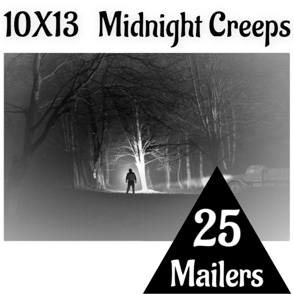 25 10X13 Midnight Creeps Poly Mailers PRICE FIRM Fall - Picture 6 of 15